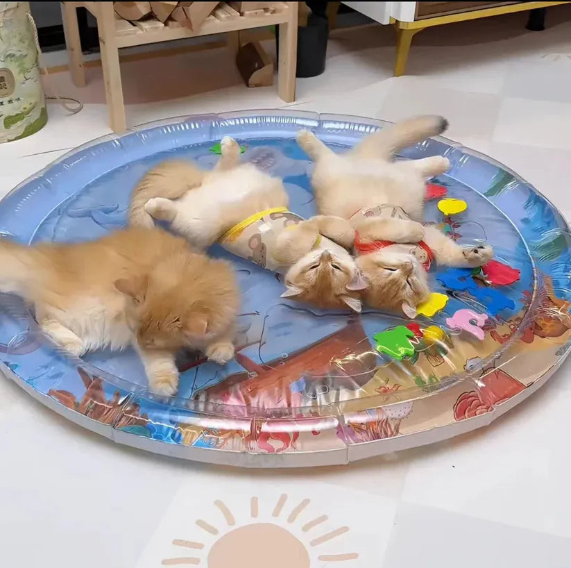 AquaPaws